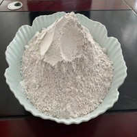 Poudre de chaux calcaire de qualité industrielle à 95 % de pureté pour le traitement des eaux usées, hydroxyde de calcium en poudre, prix de gros usine