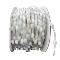 Lumière LED RVB à points adressables DC12V, pas de pixel 2,5cm/5cm/10cm, WS2815 SK6812, étanche IP68, en PVC, type guirlande lumineuse