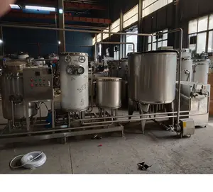 फैक्टरी मूल्य 100-300 LPH स्टेनलेस स्टील दूध/दही उत्पादन लाइन