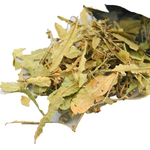 Flores de Tilia Frescas y Naturales, Polvo de Flores de Linden - Product Image 1
