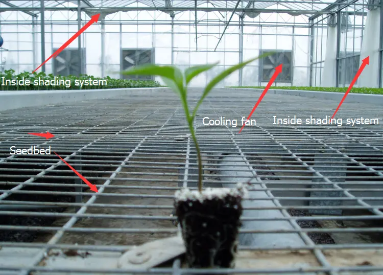 hydroponics system commercial greenhouse for cultivation