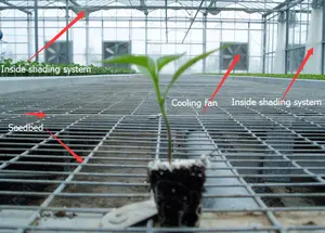Hydroponics System Commercial Greenhouse For Cultivation