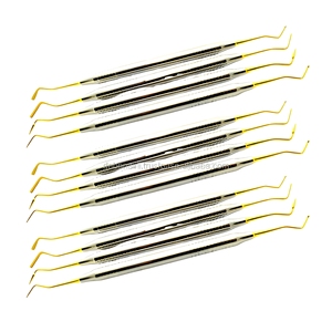 4-Piece Dental Composite Filling Instruments Set Titanium Coated Tips Hollow Handle Wholesale Supplier - Product Image 6