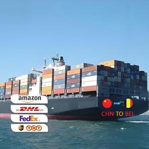 Servicio de Logística LCL Express DDP FBA, Transporte Marítimo y Aéreo desde Guangdong a EE. UU./Canadá/Europa - Product Image 3