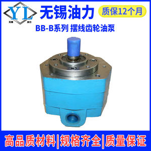 Bomba de Aceite de Engranajes Cicloides BB-B2.51016253240506380125Y, Bomba Hidráulica Autocebante, Nueva Generación de Hidráulica - Product Image 5