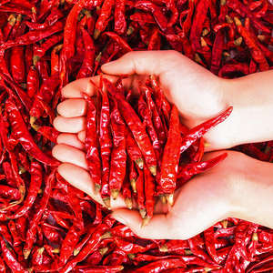 Chiles Rojos Secos de la Marca Premium DYTD, Ligeramente Picantes, Envasados al Vacío, Caja con 2 Años de Duración, Especias Culinarias Aromáticas, Semillas Huecas - Product Image 4
