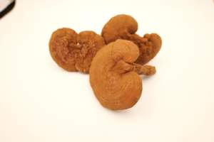 Чистый травяной китайский красный Lingzhi дикий сушеный китайский Ganoderma Lucidum <span class=keywords><strong>Reishi</strong></span> - Product Image 4