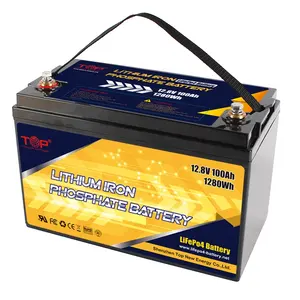 12V 12.8V 100ah LiFeP04 Battery