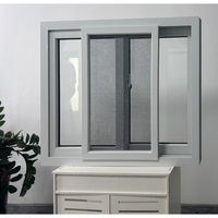 Ventana Corredera de PVC con Doble Acristalamiento y Relleno de Argón, Logra un Valor U de 1.1 para Regiones Frías