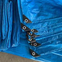 Bâche PE imperméable pour abri de jardin, protection de plantes, bâche de protection pour bateaux et camions, couverture d'ombrage imperméable, rouleau de tissu imperméable