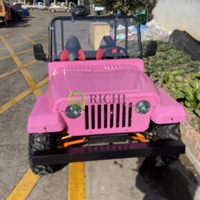Chariot de loisirs Cross Buggy Beach Buggy Voiture Véhicules chinois Voitures d'occasion Jeep 4 Temps 250/350cc Mini Jeep Willys