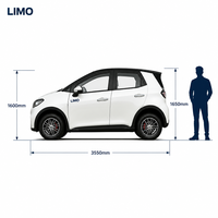 SUV Électrique Compact Personnalisable avec Entrée NFC, Audio Bluetooth, Prix de Gros Direct Usine