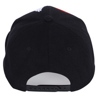OEM Premium Animal bordado estilo chino moda Unisex Hip Hop Flat Bill Snapback Cap Flat Brim 3D bordado