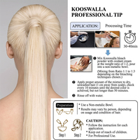 Poudre décolorante pour cheveux à marque privée, 9 niveaux de décoloration, sans poussière, pour salon, pour cheveux blonds