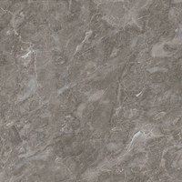 Articles de décoration de salle gris cristal, verre de douche avec baignoire et mur marbré