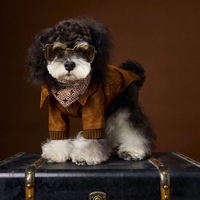 Manteaux pour chiens de luxe marron très demandés, vêtements pour animaux de compagnie, hiver, pour chiens