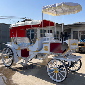 Fabricant chinois de calèches électriques élégantes et luxueuses sur mesure, calèche royale de tourisme Victoria avec éclairage, à vendre - Product Image 3