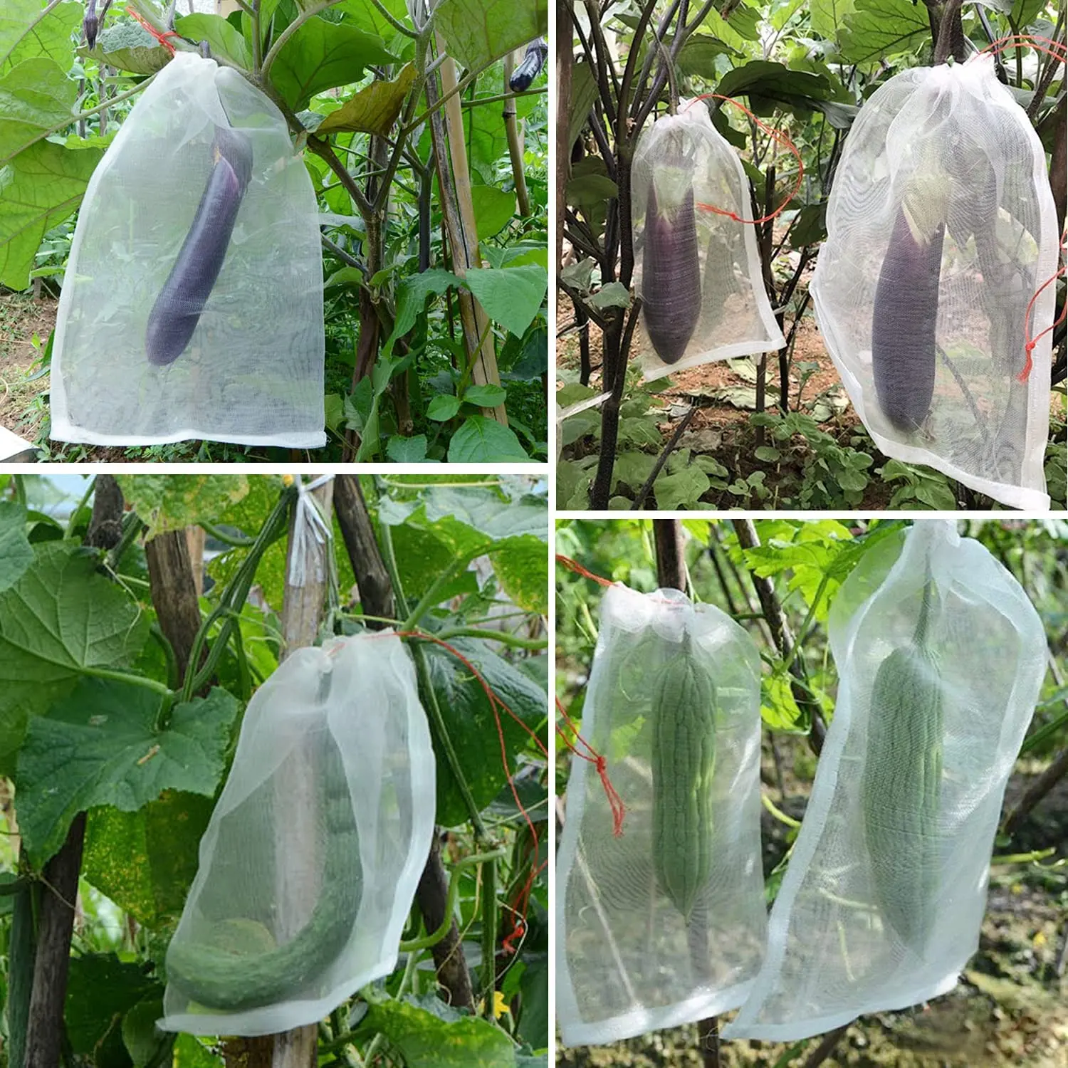 Polyethyleen Insectengaaszak Tuinnetzakken Met Trekkoordgaas Voor Het Beschermen Van Fruit En Groente
