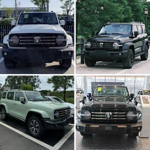 Nouveau Véhicule Tout-Terrain Haute Performance Tank 300 SUV 2026 4x4 500 Nm Essence + 48V de Chine - Product Image 5