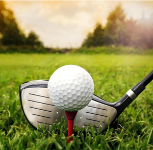 Étiquette RFID UHF pour mini-golf de loisirs avec puce Alien H3, suivi de position intelligent, équipement de fitness étanche - Product Image 1