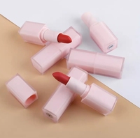 Marque Privée Rouge à Lèvres Rouge à Lèvres Mat de Luxe Vegan Waterproof Personnalisée