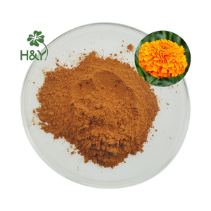 Healthway cung cấp chất lượng hàng đầu giá tốt nhất tinh khiết natrual Cúc Vạn Thọ chiết xuất bột Lutein 20% - Product Image 1