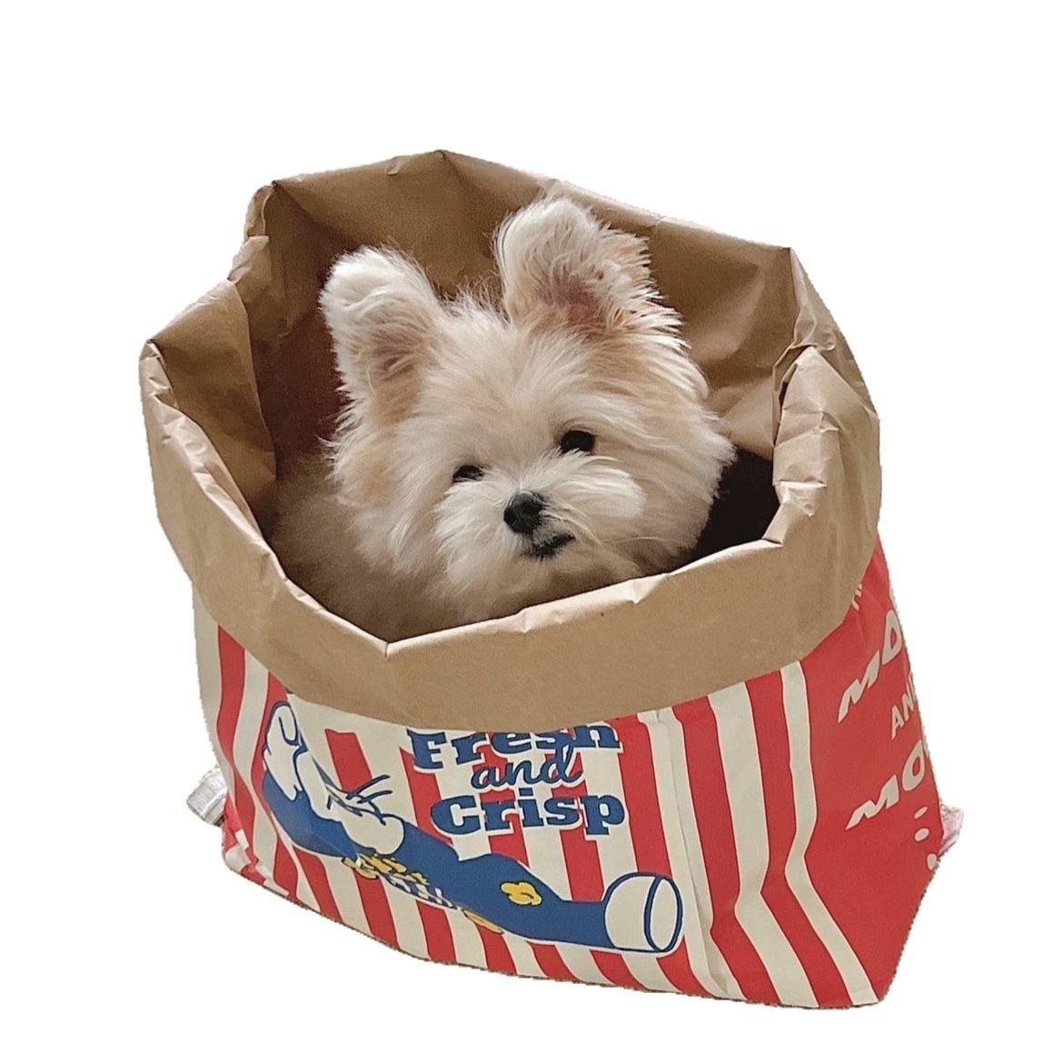 Popcorn kraft paper nest