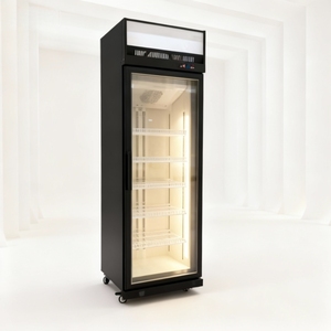 Verticale drankenkoelkast met één temperatuur en directe luchtkoeling voor hotel, bierkoeler, drankenpresentatiekast - Product Image 2