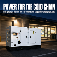Groupe électrogène diesel insonorisé Isuzu 20 kVA triphasé 400 V 50/60 Hz pour alimentation de secours
