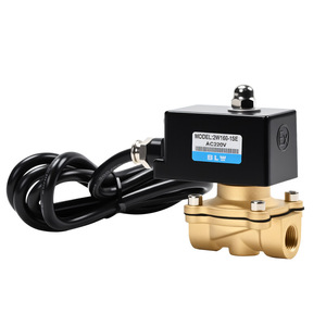 Vanne solénoïde 2W16B-13E Ac220V 1/2 pouce pour le contrôle du gaz à usage général - Product Image 1