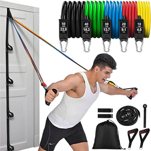 Juego de Bandas de Resistencia para Entrenamiento en 5 Colores con Sistema de Anclaje a la Puerta - Product Image 1