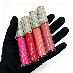 Brillo de Labios de Frutas con Rodajas Marca Propia Aceite de Labios de Piña Transparente Efecto Espejo Jugoso al por Mayor - Product Image 1