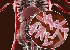 פרו-ביוטיקה מיובשת בהקפאה 10 מיליארד 100 מיליארד ש "פו/g לקטובצילוס אבקדופילוס עבור זני פרוביוטיים תעשייתיים - Product Image 2