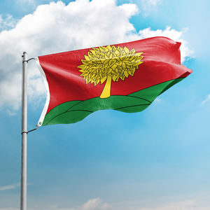 Bandera Patriótica Nacional Personalizada con Impresión Digital en Poliéster, Doble Costura, Bandera Promocional al por Mayor, Oblast de <span class=keywords><strong>Lipetsk</strong></span>, 3x5 Pies - Product Image 1