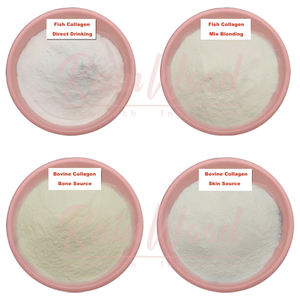Fabrikant Food Grade Type I Mariene Vis Collageen Gehydrolyseerd Vis Collageen Poeder - Product Image 2