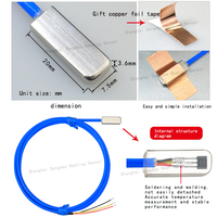Sonde de température numérique adhésive DS18B20, sonde de température numérique étanche en PTFE pour surface