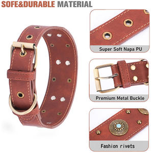 Collar de Nailon Vintage Premium Más Vendido para Perros de Raza Mediana y Grande - Product Image 2