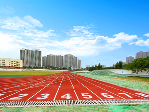 INOLP Piste de course hybride avec logo personnalisé, options de couleurs vibrantes, revêtement résistant à la décoloration, solutions de marquage pour revêtements de sol sportifs, Guangdong - Product Image 2