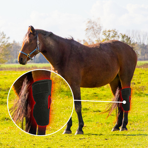 Puces 3 en 1 personnalisables physiothérapie pour animaux de compagnie hor lumière rouge équine infrarouge pad wrap hock - Product Image 6