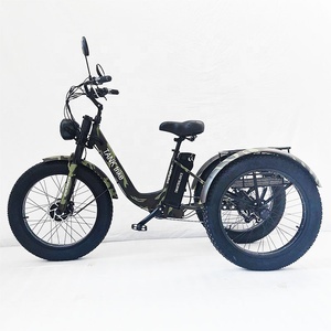 China Family 48V Triciclo eléctrico de <span class=keywords><strong>3</strong></span> ruedas Movilidad 20 pulgadas Adulto <span class=keywords><strong>3</strong></span> ruedas Neumático gordo Triciclos eléctricos Triciclo para transporte - Product Image 1