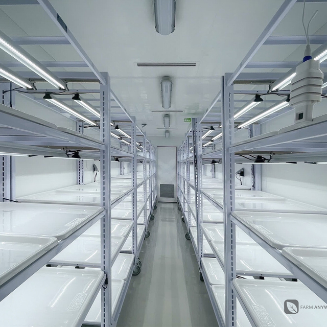 Smart Mushroom Grow Box 40ft Container Farm with Motor Aeroponic/Aquaponic Irrigation Steel Cover