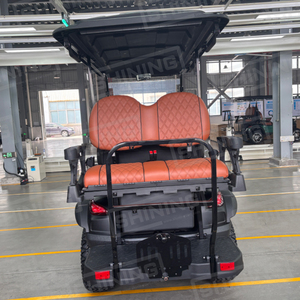 Xe điện golf chạy xăng hợp pháp đường phố Shininglsv, xe mini với động cơ 4 thì, lựa chọn đáng tin cậy - Product Image 5