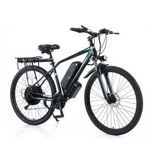 Новый вариант для ленивых мужчин, электрический велосипед, городской стальной уличный электрический велосипед, большой радиус действия 29 дюймов 1000 Вт 13A