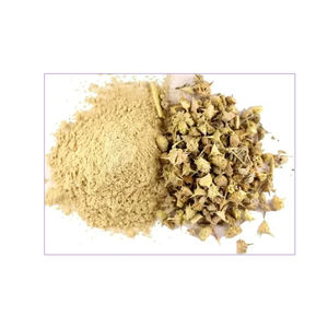 Extracto de Gokhru en Polvo, Polvo de Tribulus Natural Fino para Múltiples Aplicaciones, Ingrediente Procesado Limpio, Suministro a Granel - Product Image 3