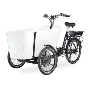 <span class=keywords><strong>Velomobile</strong></span> Trike Electric Cargo Bike 250W motor triciclos eléctricos con puerta - Product Image 2