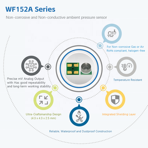 29 Psi <span class=keywords><strong>Strain</strong></span> <span class=keywords><strong>Gauge</strong></span> Pressure Sensors WF152A, Sensor de Manômetro de Óleo para Aplicações Industriais e Indústria Automotiva - Product Image 5