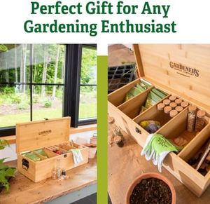 Kit di risparmio di semi di bambù per azienda di fornitura di giardiniere Kit elegante e sicuro per grandi fiale di vetro 3 grandi 3 scatole di immagazzinaggio - Product Image 6