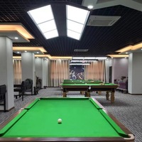 Lustres LED sans ombre pour salle de billard et salle de badminton - Construction en aluminium, options noir/blanc, éclairage à intensité variable, IRC 80