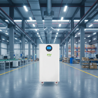 Batterie de stockage d'énergie solaire 10KWH 51.2V, sûre et écologique, pour une utilisation quotidienne et d'urgence à la maison