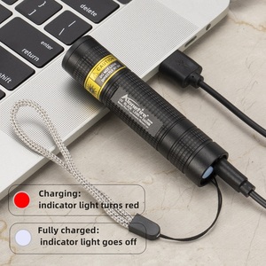 Mini 365nm Led Black Light <strong>UV</strong> <strong>Flashlight</strong> Usb Rechargeable Nail Lamp Pet Stain Leakage Marker Ore Money Scorpion Detection Lamp - Product Image 3